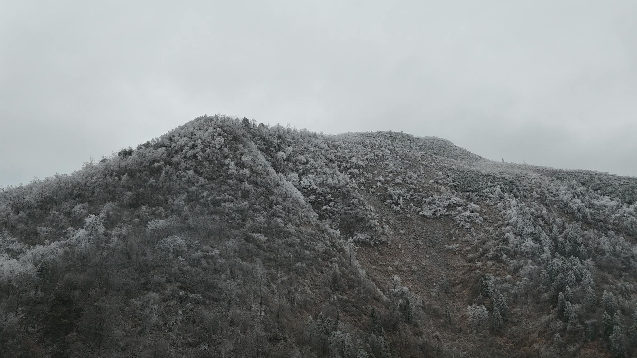 The ridge after the first snow